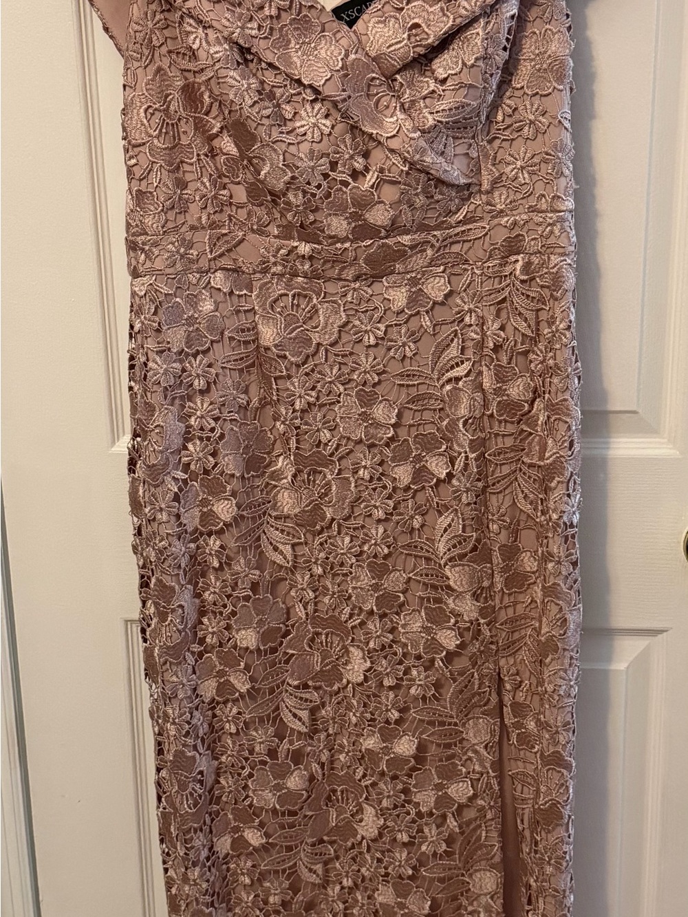 Xscape Blush Pink Floral Lace Gown - Picture 9 of 10